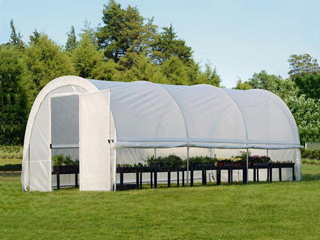 tent tepl9